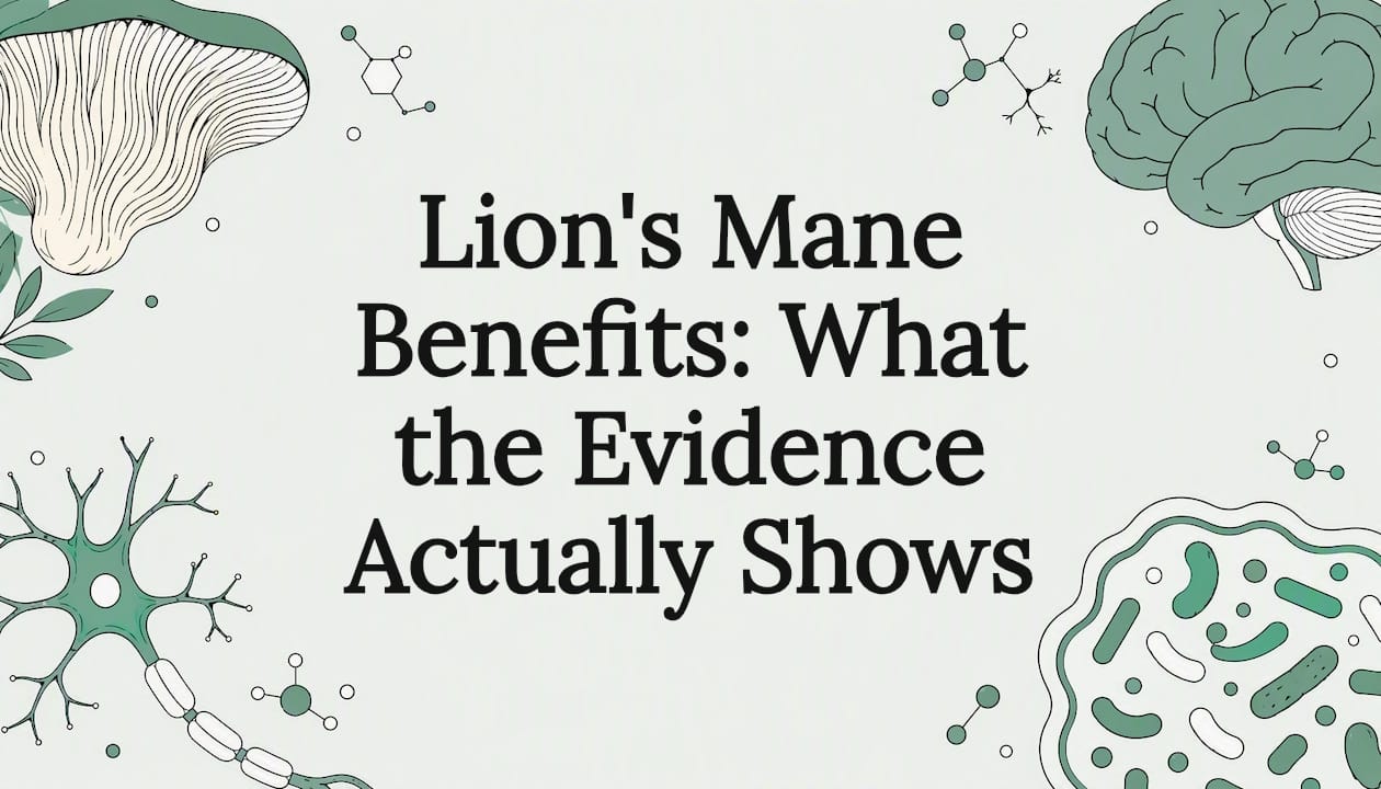 Beneficios de Lion's Mane: Lo que la evidencia realmente muestra
